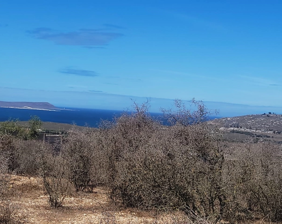 0 Bedroom Property for Sale in Hoogland Western Cape